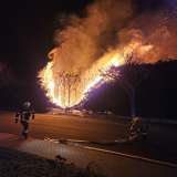 Jahreswechsel: Feuerwehr löscht brennende Hecken und Mülltonnen