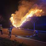 Jahreswechsel: Feuerwehr löscht brennende Hecken und Mülltonnen